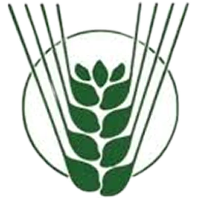 Индийский институт исследований бобовых культур