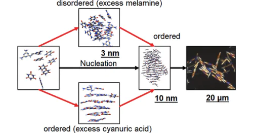 REC of Infochemistry