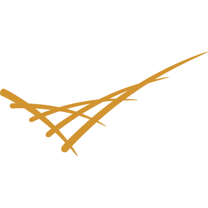 Joint Global Change Research Institute