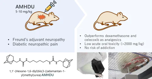 Laboratory of Guided Synthesis