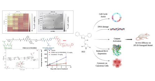 Laboratory of Biochemical Fundamentals of Pharmacology and Tumor Models