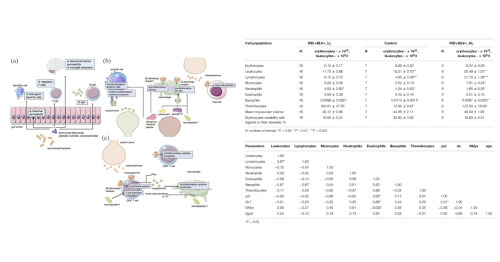 Лаборатория геномики