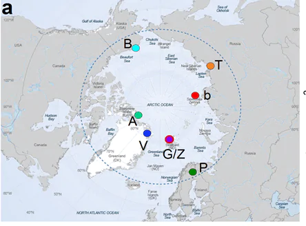 Ученые описали сезонность содержания органики в воздухе Арктики