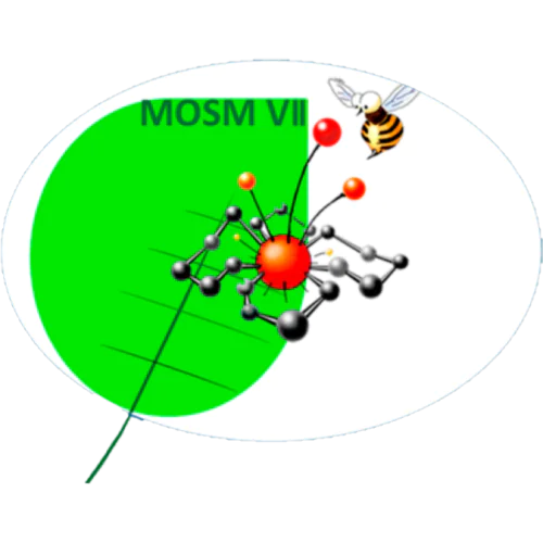 VII International Conference "Modern Synthetic Methodologies for the Creation of Medicines and Functional Materials" (MOSM 2024)