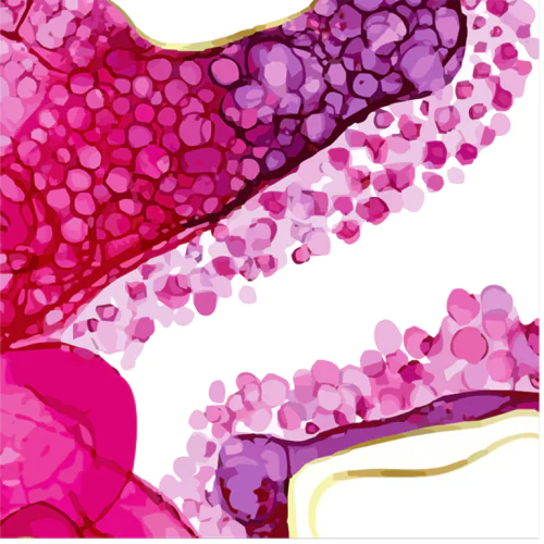 International Conference "Biomaterials: from Research to Practice" (BioMATs 2025)