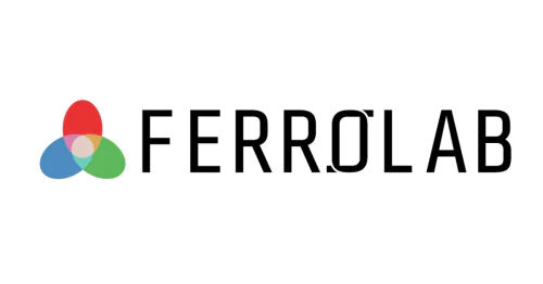 Laboratory of Ferroic Physics