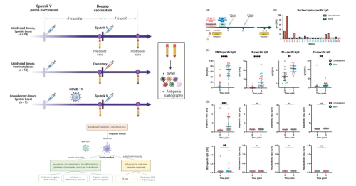 Laboratory of Immunochemistry