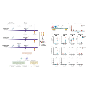 Laboratory of Immunochemistry | CoLab