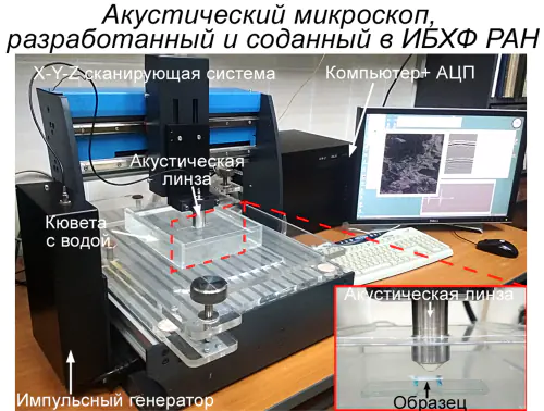 Acoustic Microscopy Laboratory