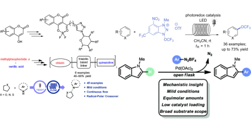 Nyuchev Research Group