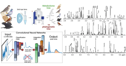 Laboratory of Proteomics and Metabolomics