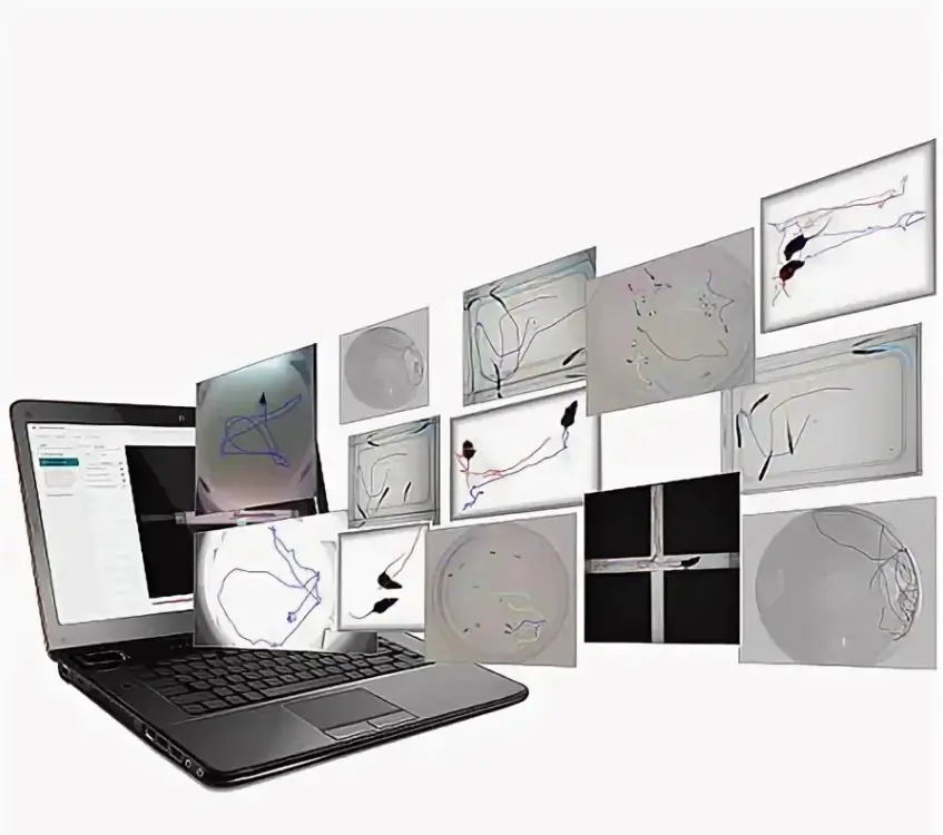 Установка "TSE VideoMot2"