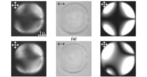 Molecular Spectroscopy Laboratory