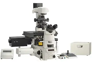 Конфокальный сканирующий микроскоп С2 (Nikon)