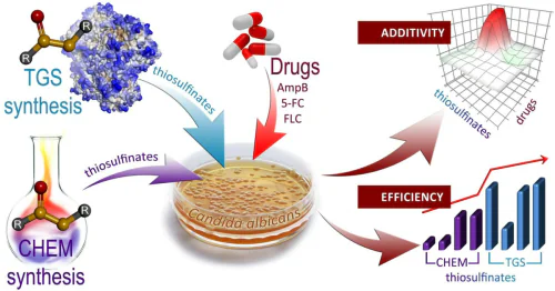 Laboratory of chemical regulation of biocatalysis
