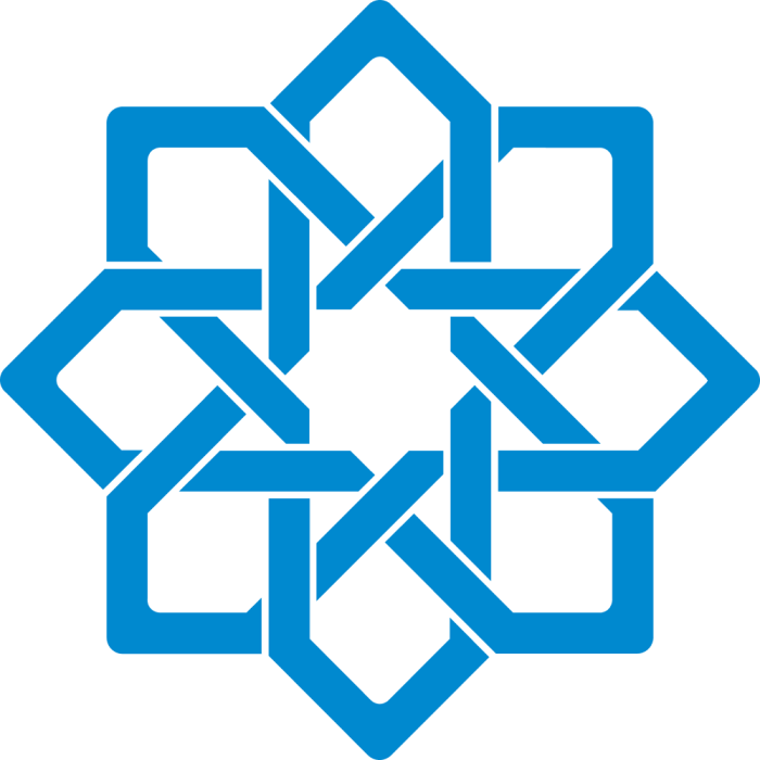 Lokman Hekim University