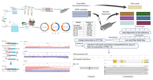 Laboratory of Marker and Genomic Plant Breeding