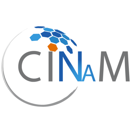 Centre Interdisciplinaire de Nanoscience de Marseille