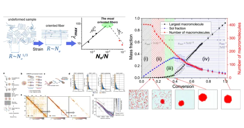 Laboratory of Microstructured Polymer Materials