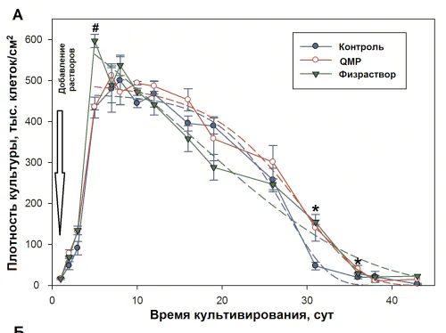 Sector of Evolutionary Cytogerontology, Laboratory of Cell Biology of Aging and Development