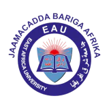 East Africa University
