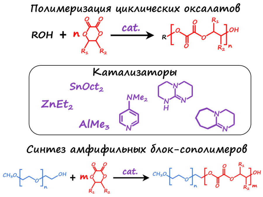 Synthesis of biodegradable polymers and amphiphilic block copolymers by polymerization of cyclic oxalates