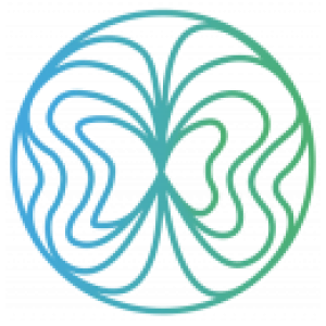 Лионский институт исследований катализа и окружающей среды