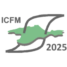 International Conference “Functional Materials. ICFM-2025”