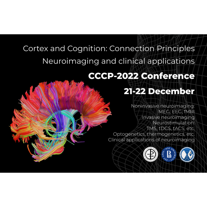 cortex-and-cognition-connection-principles-neuroimaging-and-clinical