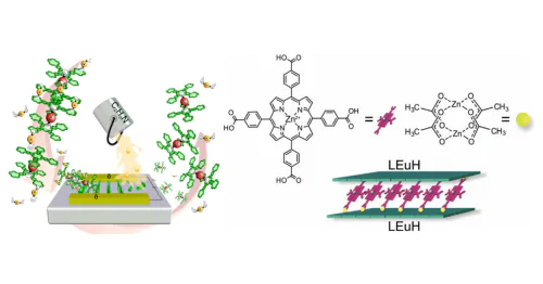 A group of supramolecular hybrid materials in the Bioelectrochemistry Laboratory