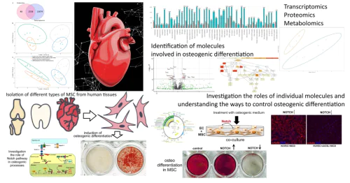 Laboratory of Regenerative Biomedicine