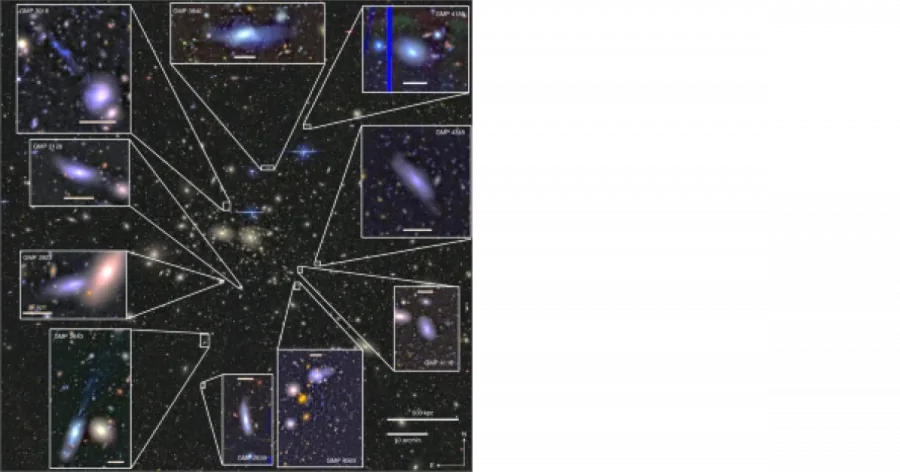 Межгалактическая плазма лишила ультрадиффузные галактики «топлива» для образования звезд